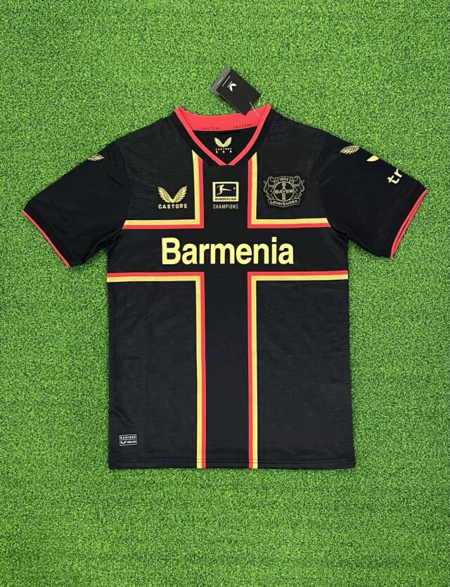 Leverkusen 24/25 Extérieur
