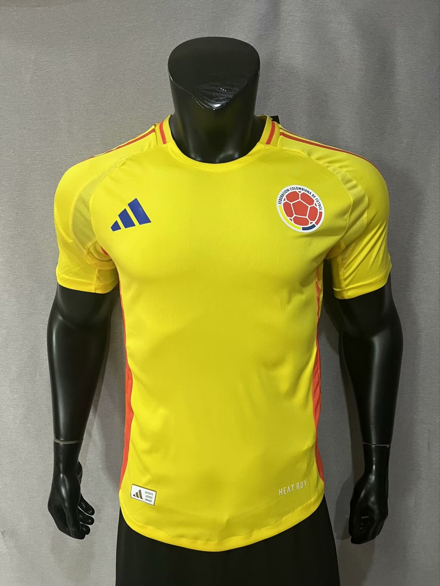 Colombie 24/25 Domicile