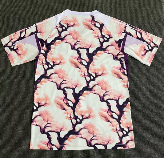 Japon Concept Sakura