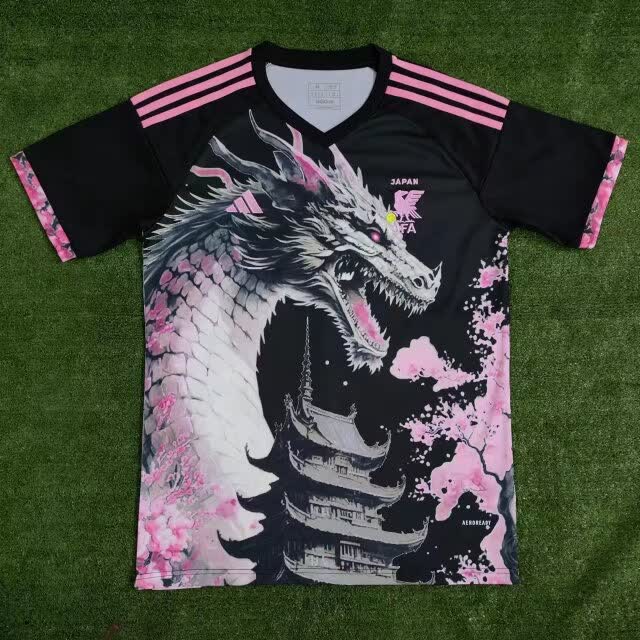 Japon Concept Dragon Noir